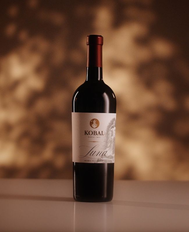 Modra frankinja, 2019